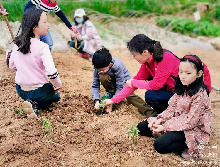 朝花夕拾—播种希望